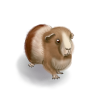 Custom companion for #12729; Art by Wysper #9; +2 energy every 30 minutes. Custom companion for #12729; Art by Wysper #9; +2 energy every 30 minutes.
